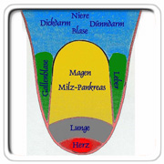 TCM- Zungendiagnose